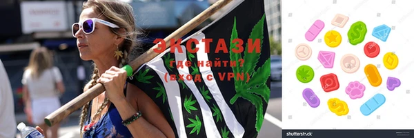тгк Каменка