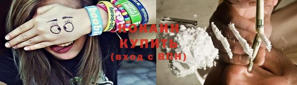 тгк Каменка