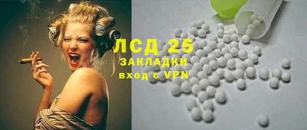 тгк Каменка