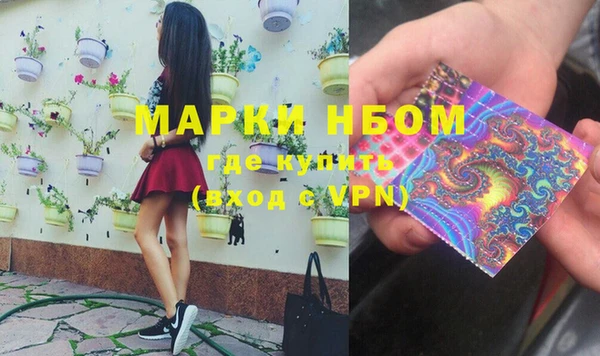тгк Каменка