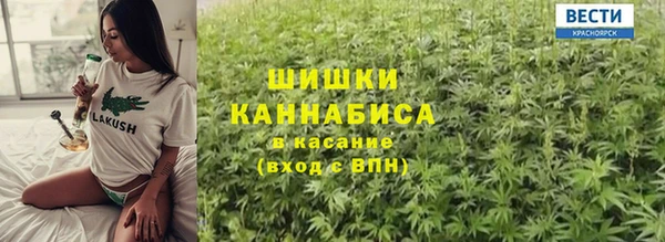 тгк Каменка