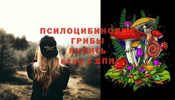 тгк Каменка