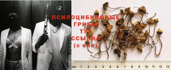 тгк Каменка
