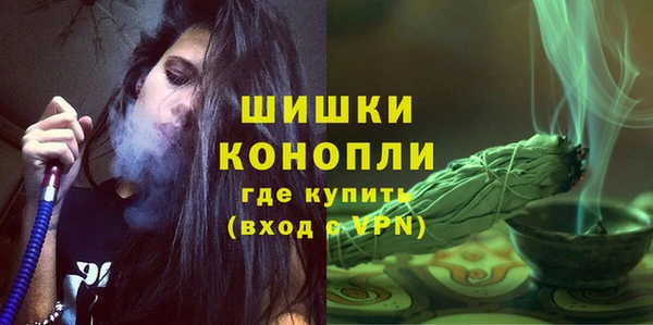 тгк Каменка